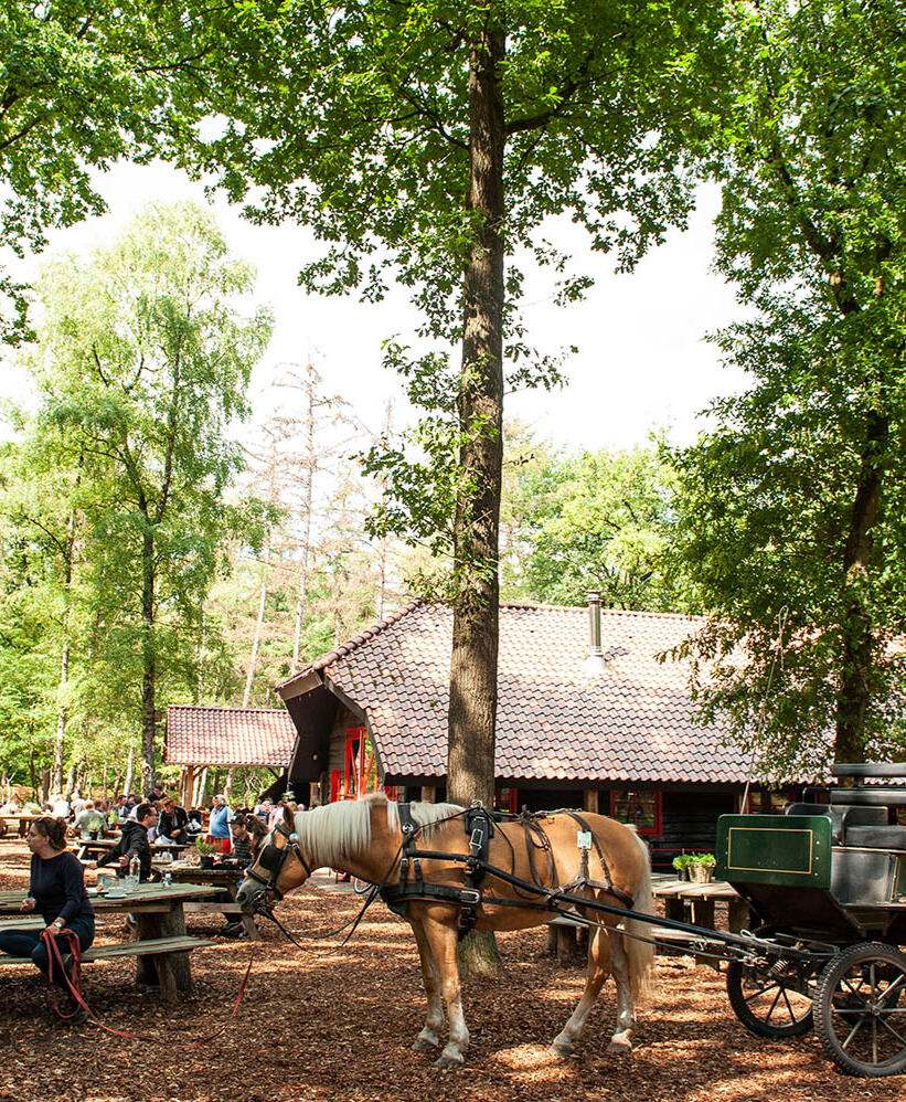 Het theehuis met terras tussen de bomen
